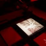 Roots of Light — gelatin silver print of tree roots reaching toward light, hand-developed analog black and white photograph