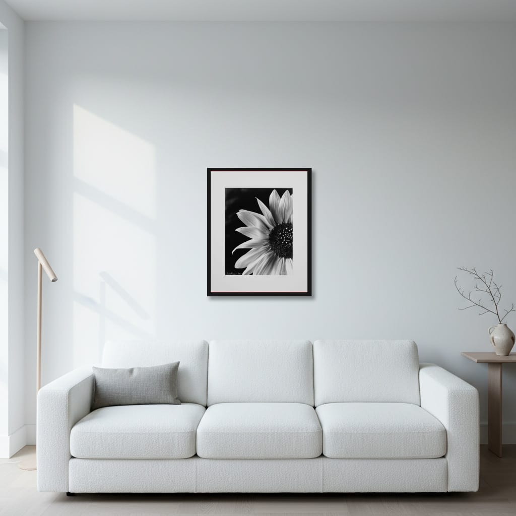 Sunflower - Image 2